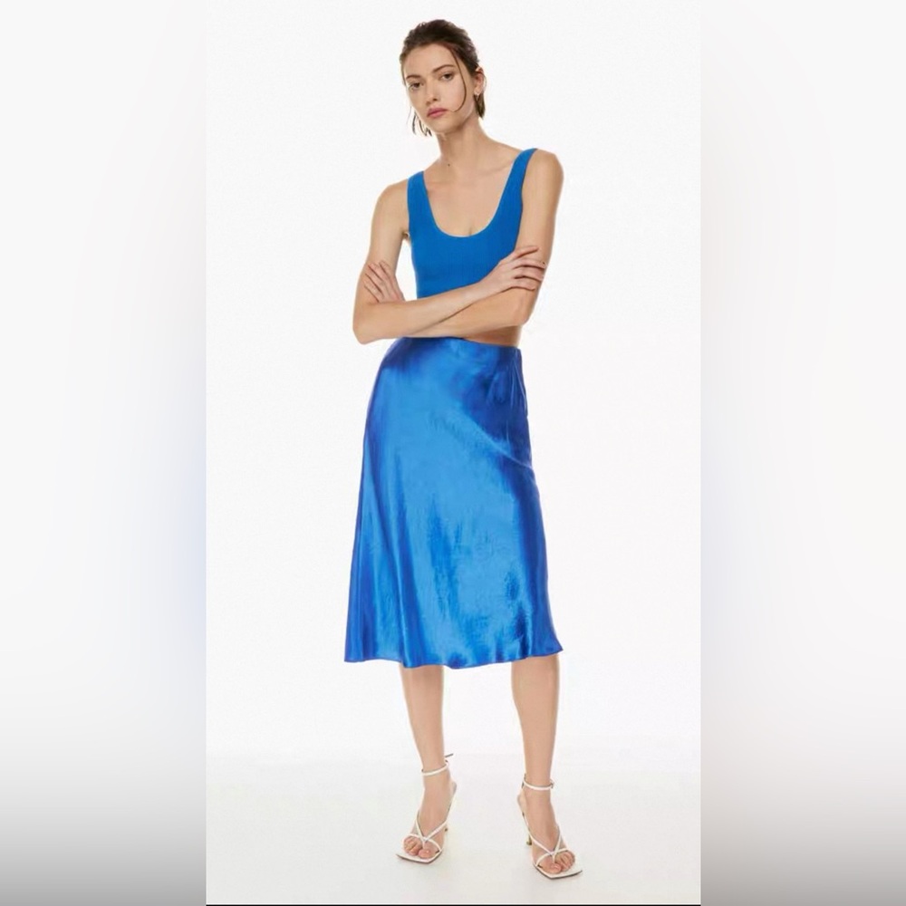 Aritzia Babaton Slip Satin Midi Skirt